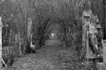 Friedhof St. Marx