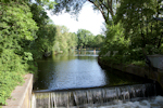 Berlin Tiergarten